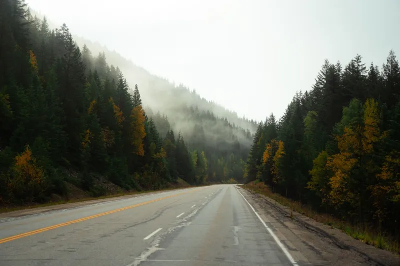 Dead Animals Don't Lie: The Rural Driver's Guide to Reading the Road Through Roadkill
