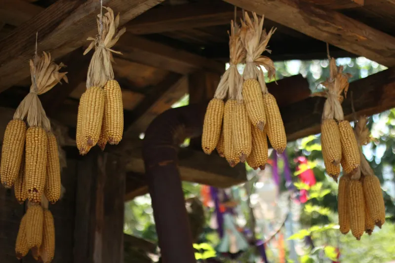 When American Farmers Almost Became Their Own Gas Stations